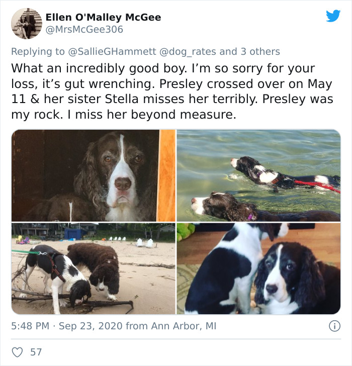 'He Was Best At Unconditional Love': Over 115k People Are In Tears Over This Woman's Touching Obituary For Her Beloved Dog
