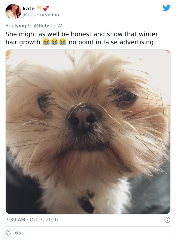 Dog-Profile-Pic-Photo-Dating-Website-Twitter