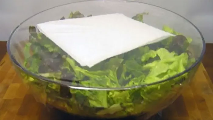 This Trick Using A Paper Towel Will Keep Your Salad Lettuce Fresh All Week Long