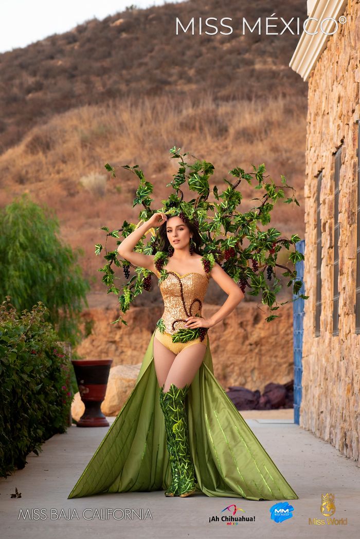 Miss Baja California, Daniela Pedroza