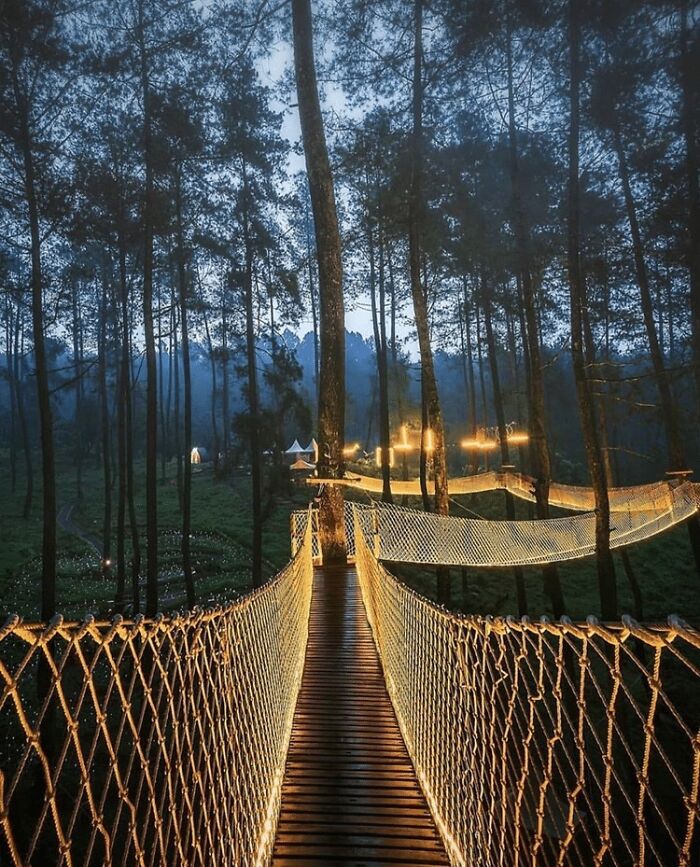Orchid Forest Cikole, #Un ponte illuminato sospeso tra gli alberi in Indonesia