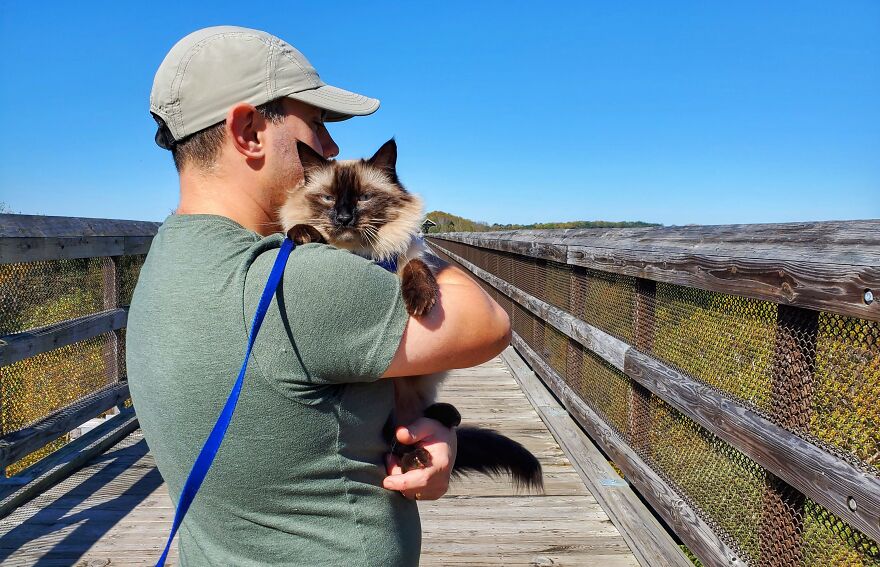 Our Dog-Like Cat Walks On A Leash For His First Mountain Hike!