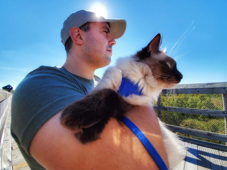 Our Dog-Like Cat Walks On A Leash For His First Mountain Hike!