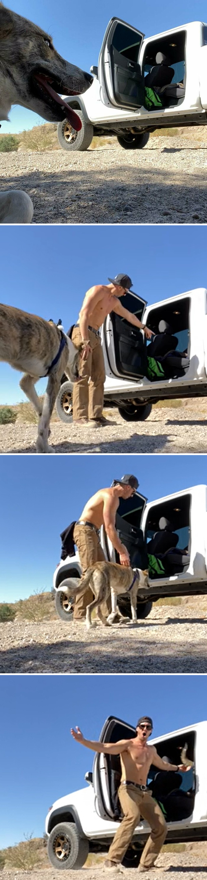 I Recently Rescued Dudeson, He Hated Getting Into My Truck. Figured Out He’s A Visual Learner