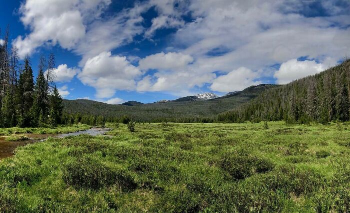 Big Meadows, Rocky Mountain National Park