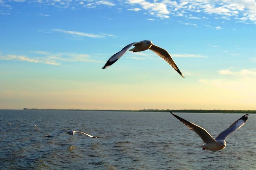 My Photography My Photography
