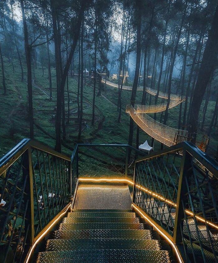 Orchid Forest Cikole, #Un ponte illuminato sospeso tra gli alberi in Indonesia