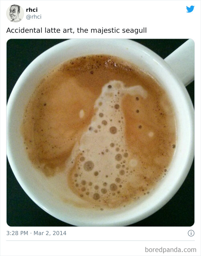 Accidental Latte Art, The Majestic Seagull