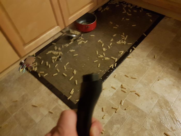 Go To Make Pasta, The First Pot Slips And I Pour It All On The Ground. Make A Second Pot And The Handle Straight Up Breaks And My Pasta Goes Everywhere. Didn't Eat; Had A Lil Cry