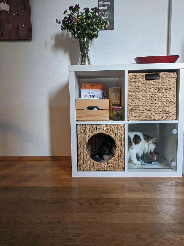 Kallax Puppy-Proof Cat Feeding Station Station; Food And Treat Storage Above.
