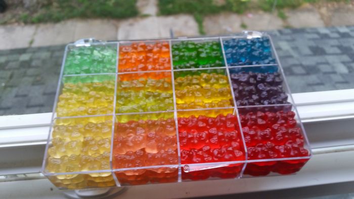 Gummy Bear Gift Box For An Autistic Date