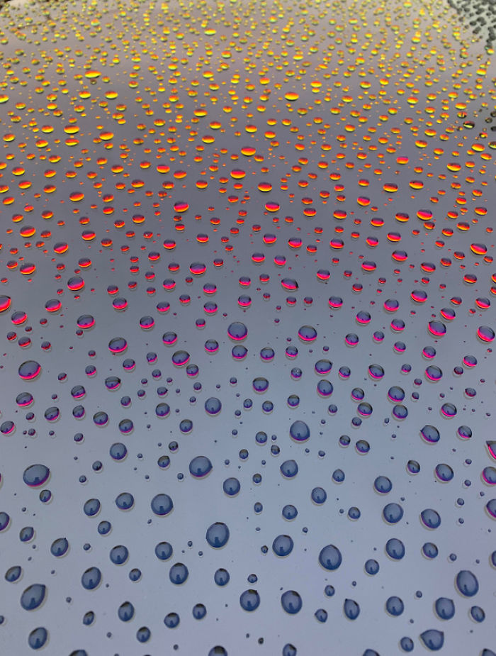 Droplets On A Car Windshield During Sunset