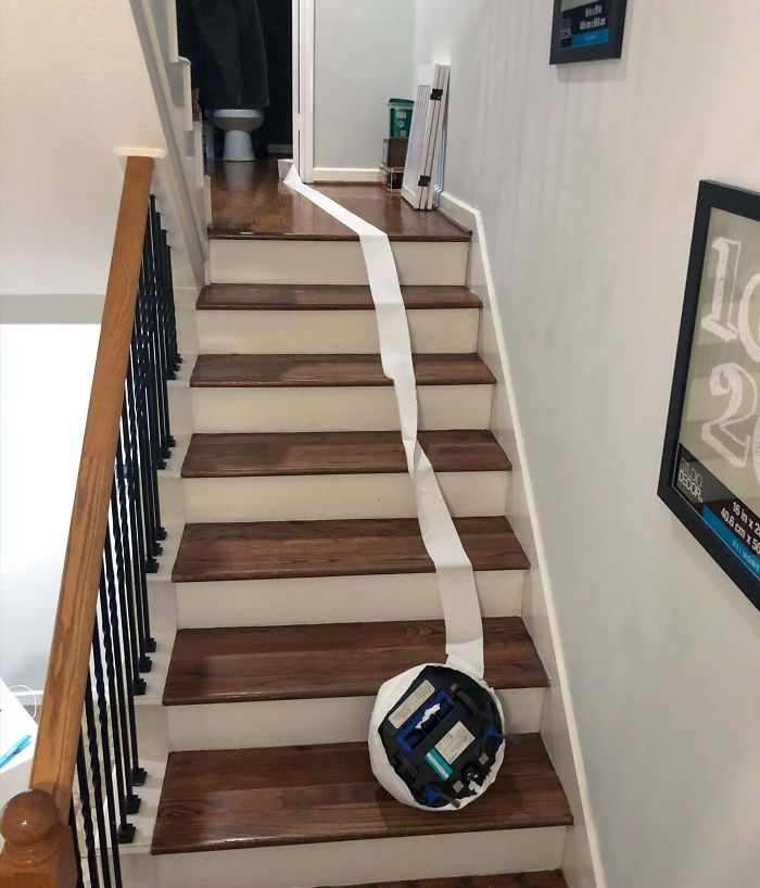 Roomba Suicide In My House Last Night. It Somehow Wrapped Up Its Sensors In Toilet Paper And Headed Off The Edge
