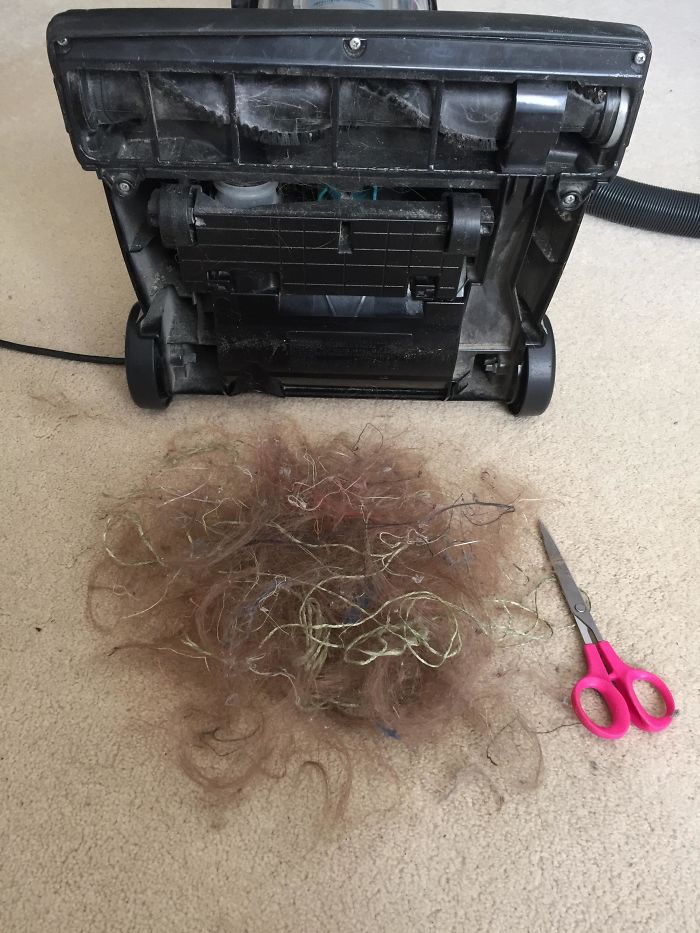 Wife And Teen Daughters Said Vacuum Wasn't Working, Checked Roller Brush