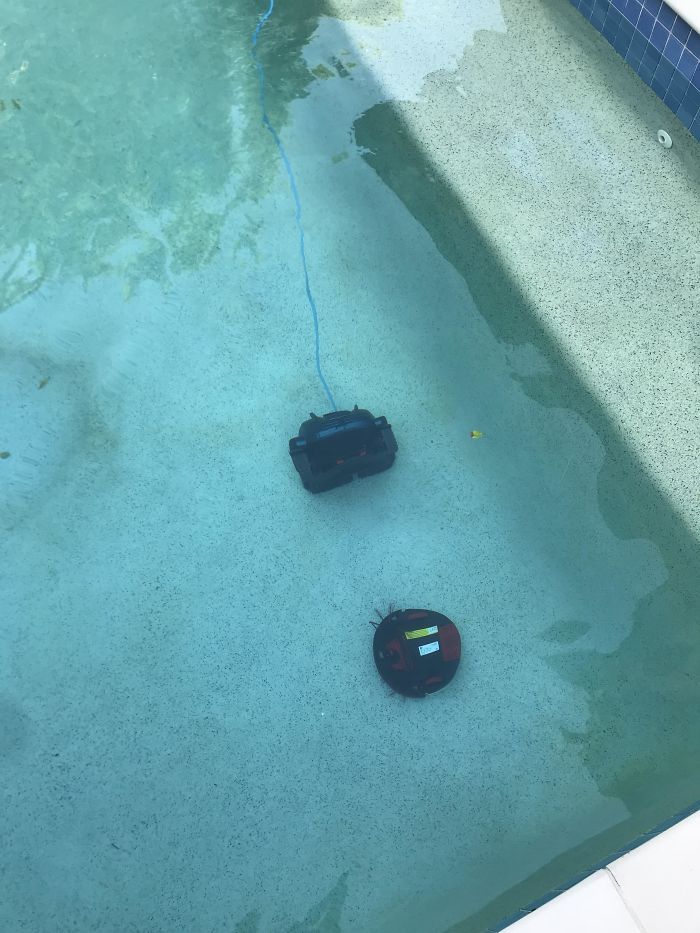 This Is What Happens When Your Wife Leaves The Door Open To The Pool Area. Your Expensive Robot Vacuum Decides It Wants To Meet The Pool Vacuum... Goddammit