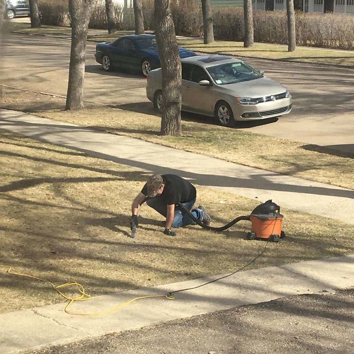 Just My Neighbor Vacuuming His Grass
