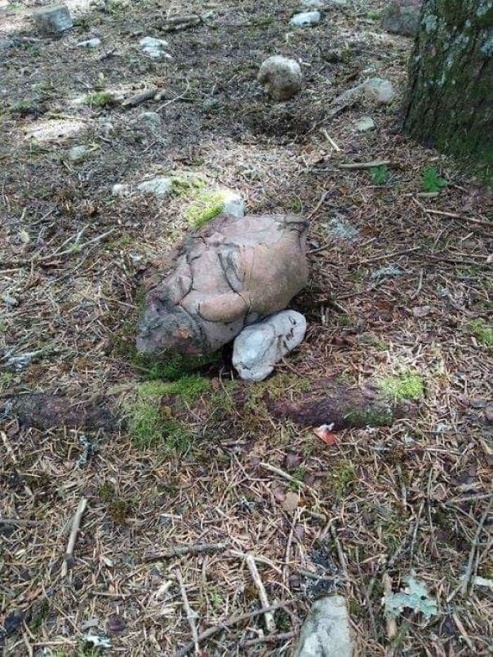Esta roca que parece una cabeza cortada