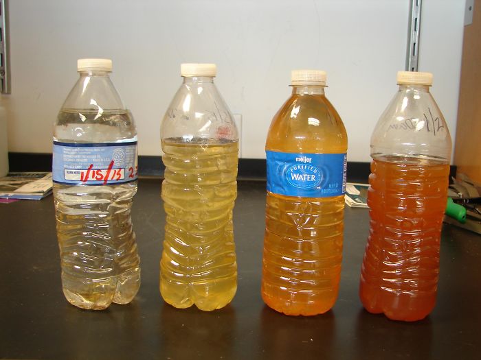 4 Bottles Of Water From 4 Different Houses From All 4 Sides Of Town (West/North/East/South) In Flint, Michigan