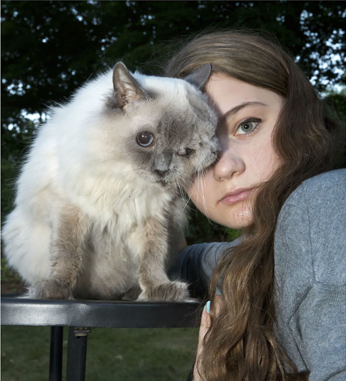 Amelia y su gato de dos caras