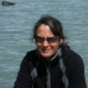 noreenkarcher avatar