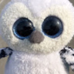 freakyowl