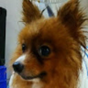 20ksubwhith0vid avatar