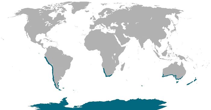 Where Penguins Are Found Naturally In The World