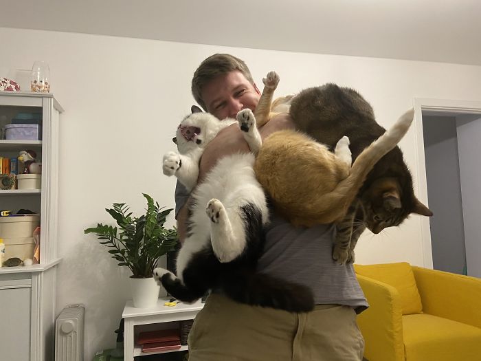 Get Yourself A Man Who Can Smile Vividly And Genuinely While Trying To Hold Three Fluffy Assholes.
