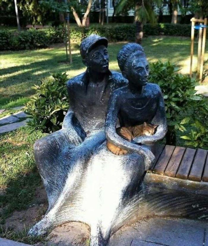 This Cat Fits Perfectly In This Statues Lap