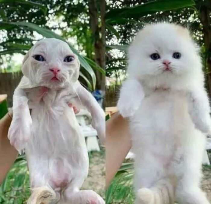 Before And After A Bath :)