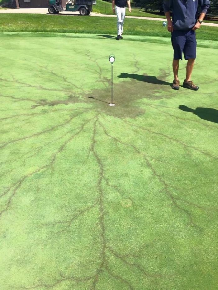 This Is What Happens When Lightning Strikes A Flag On A Golf Course