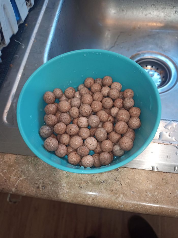 These Forbidden Coco-Puffs Will Crunch Your Teeth (It's Ceramic Balls For Aquarium Filters)