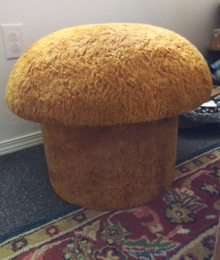 Forbidden Corn Muffin. It's An Orange Shag Mushroom Stool