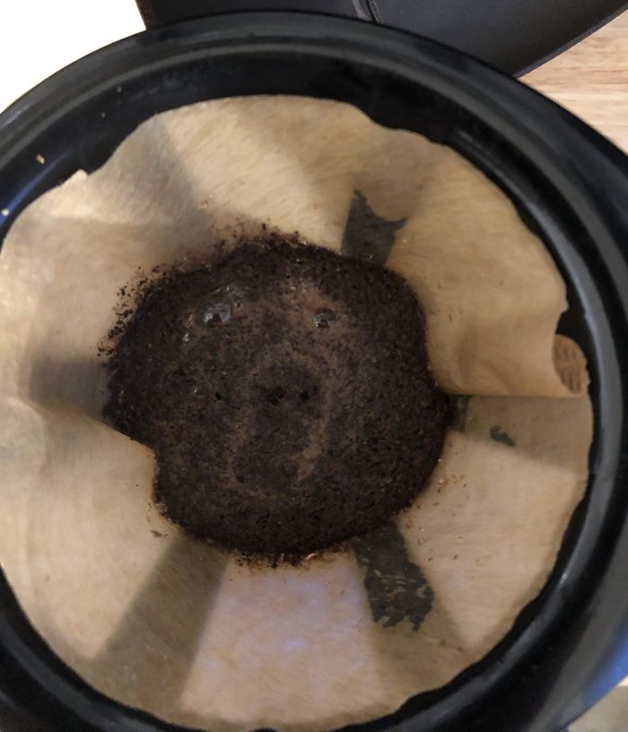 This Morning’s Coffee Bloom Looked Like A Surprised Bear