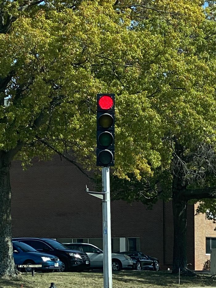 This Stop Light Flipping Me Off