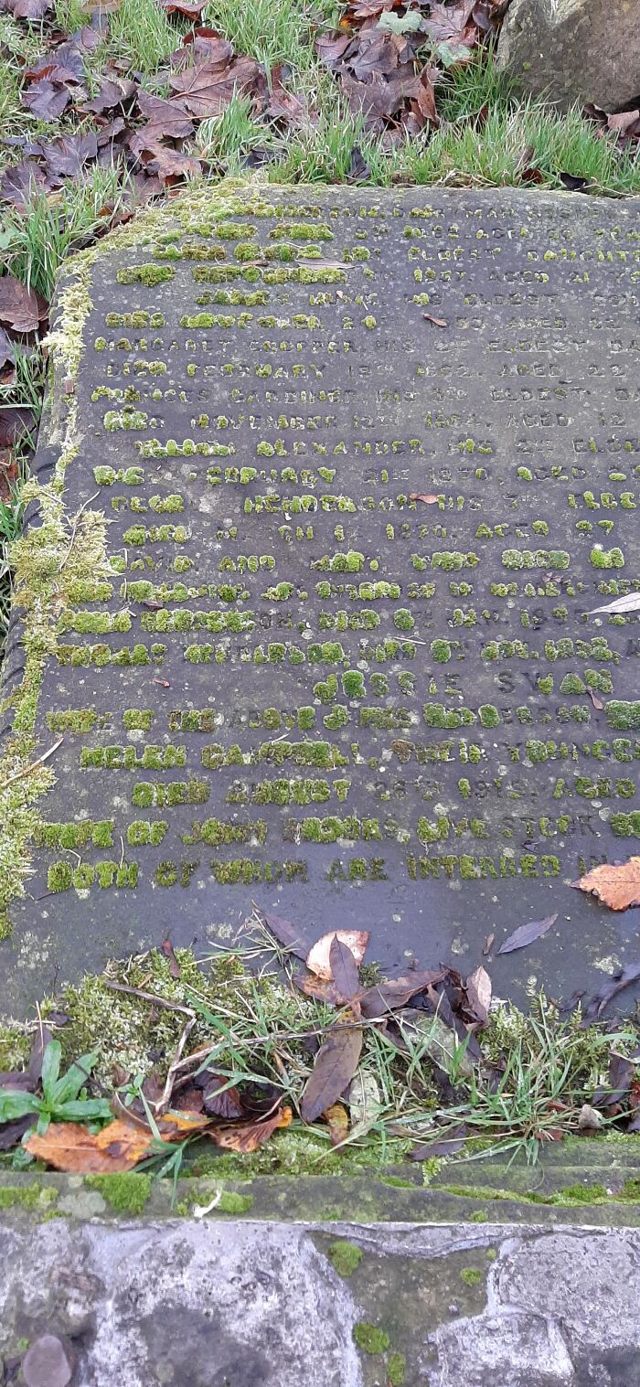 Quasi-Legible Moss Growing In The Letters Of This Fallen Tombstone