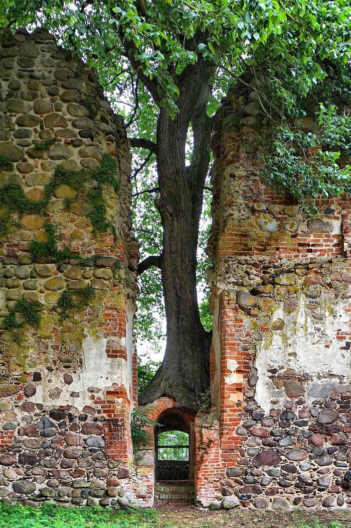 El guardián de la puerta del castillo abandonado de Putzar en Alemania