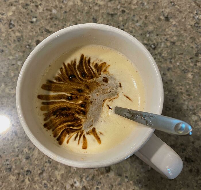 Puercoespín creado accidentalmente al verter café instantáneo sobre un americano