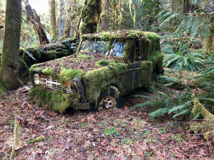Abandoned Ford Bronco In The Woods
