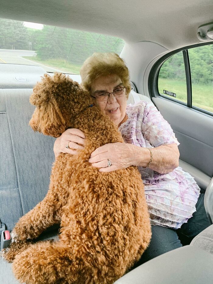 My Dog Gets Really Anxious In The Car, So My Grandma Asked To Sit In The Back With Him. The Whole Car Ride All I Heard Was "It’s Okay, We’re Almost There Brave Boy"