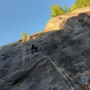 jus_de_citrouille avatar