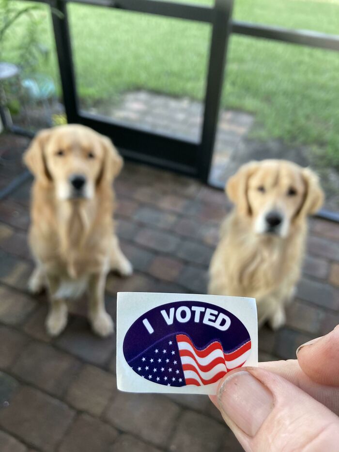 Due To Some Mistakes I Made In My Early 20’s I Wasn’t Allowed To Vote. Today I’m Very Proud To Say I Voted. I’m 42 And I Just Voted For The First Time