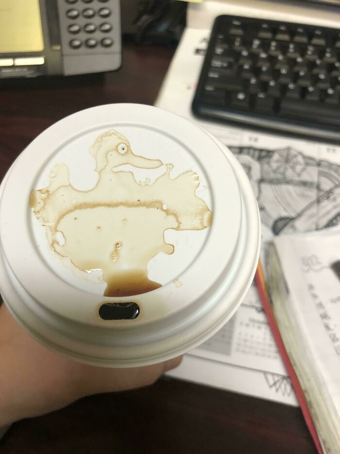 The Way My Coffee Spilled This Morning Looks Like A Duck