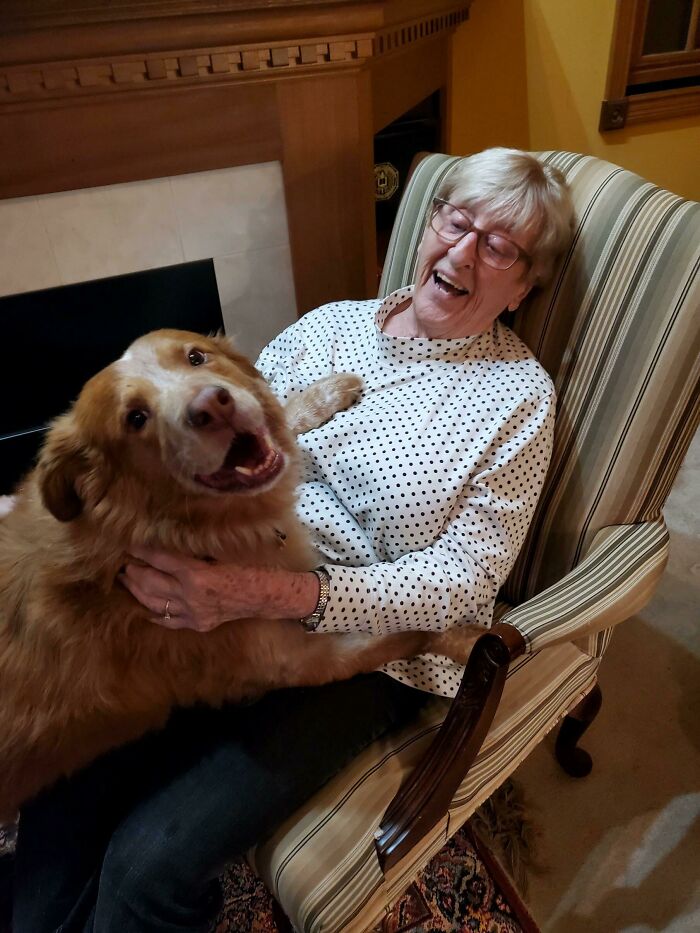 My Dog's Most Favorite Person In The World Is My Grandma. It Was Her 89th Birthday Yesterday, He Had To Greet Her With A Proper Hug