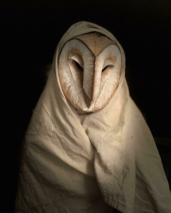 I Made This Barn Owl Costume For Halloween