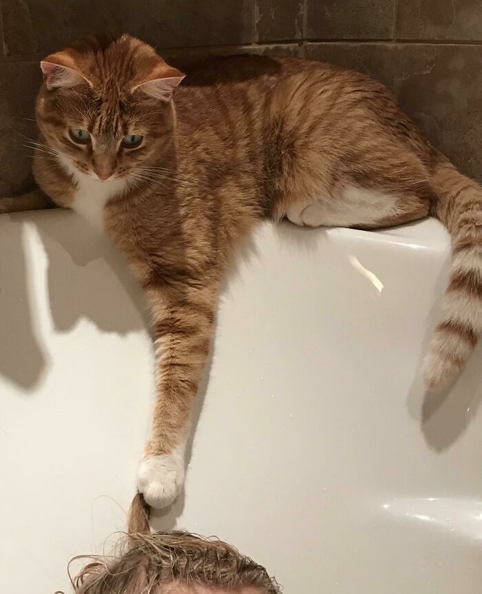 Making Bath Time A Little Less Relaxing Since He Was A Kitten