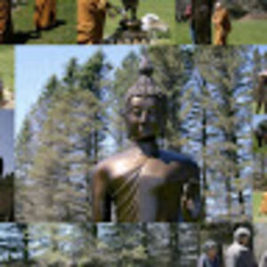 pushweerasooriya avatar