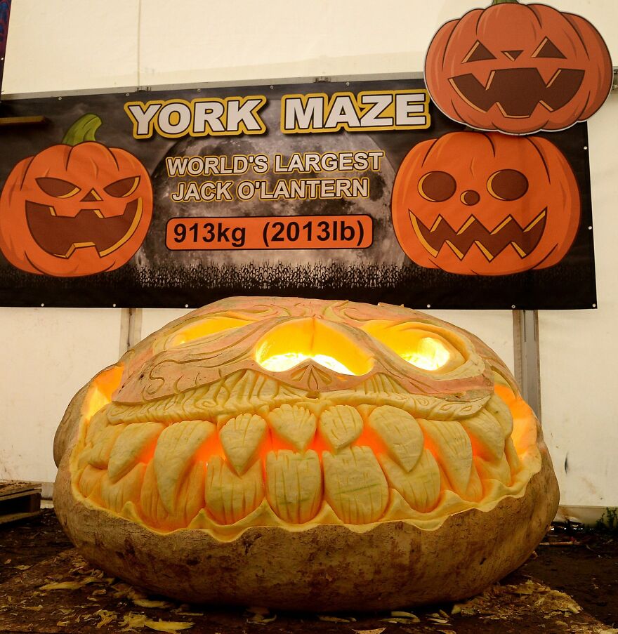 Detailed Work On The 900+ Kg Pumpkin Over At "York Maze" In 2017