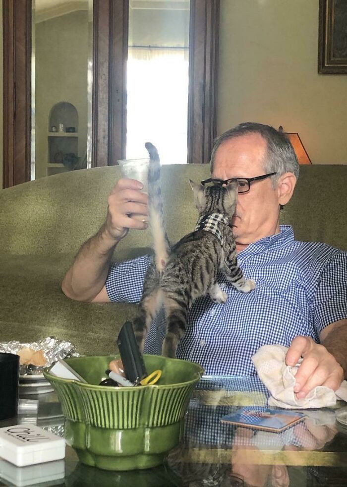 My Father Attempting To Eat Dinner In Peace