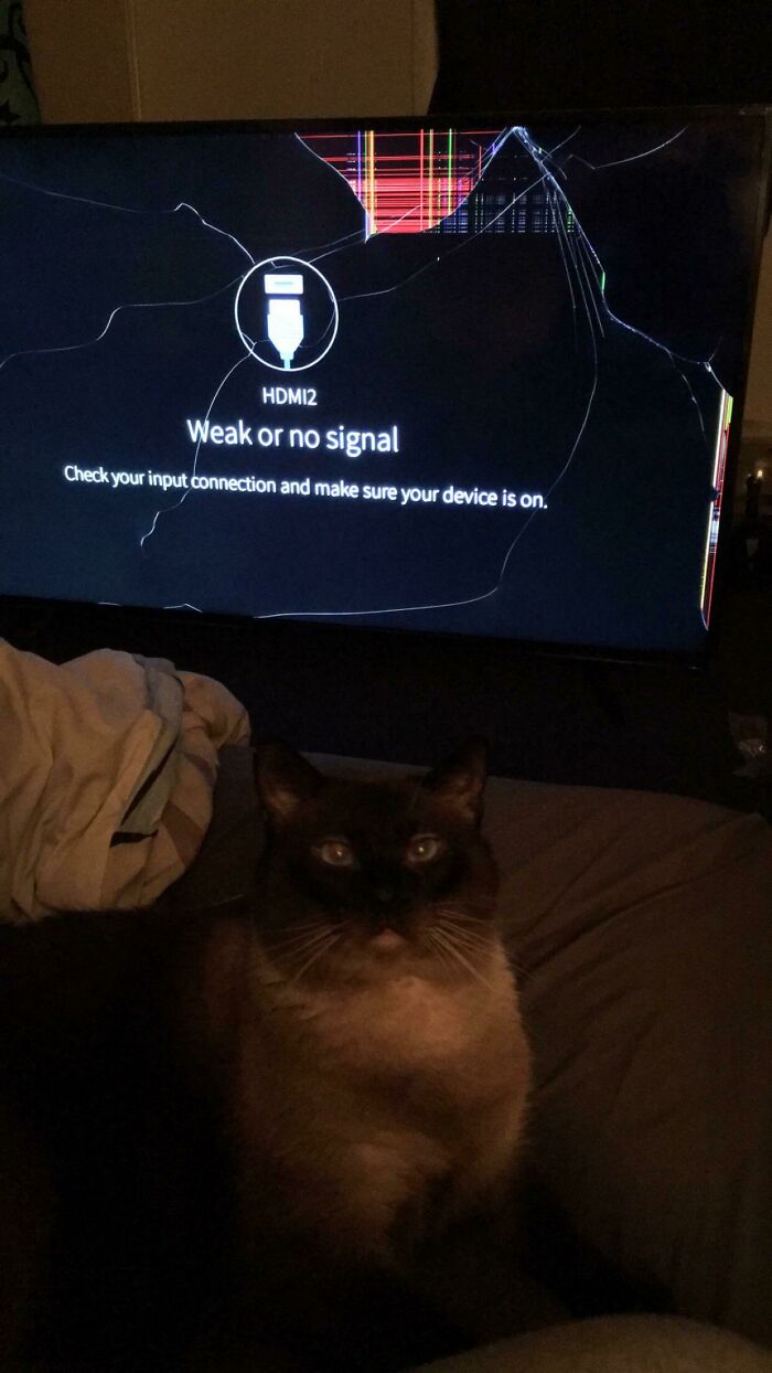 He Pushed My TV Off The Stand